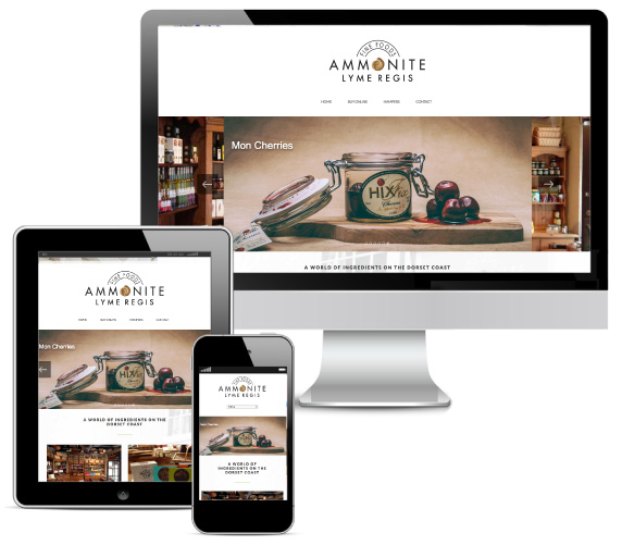 Ammonite Website
